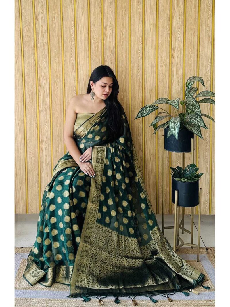 Green Color Green Saree - Image 2