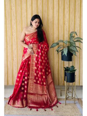 Red Color Red Saree