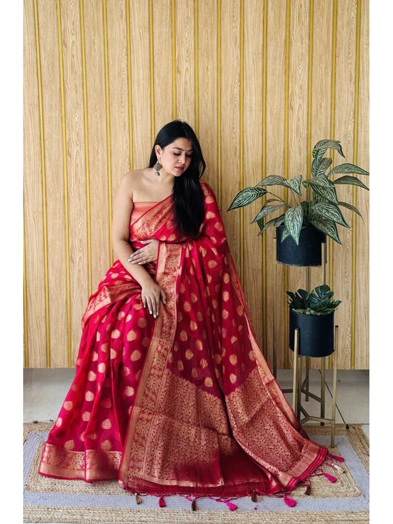 Red Color Red Saree - Image 2