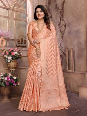 Peach Color Peach Saree