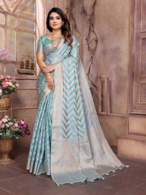 Sky Blue Color Sky Blue Saree