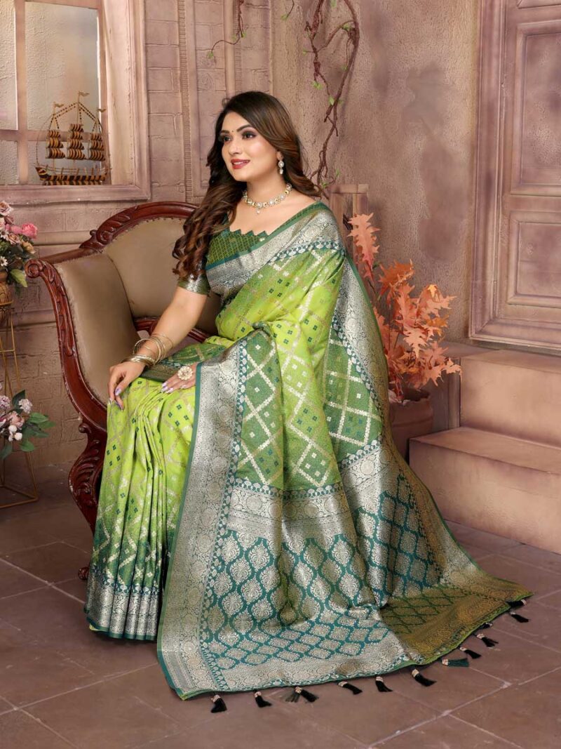 Pista Color Green Saree - Image 4