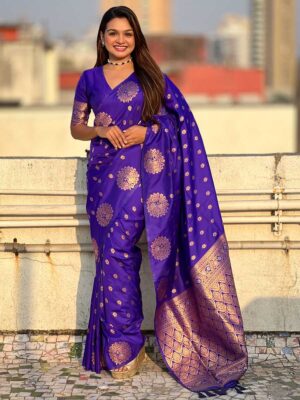 Blue Color Blue Saree