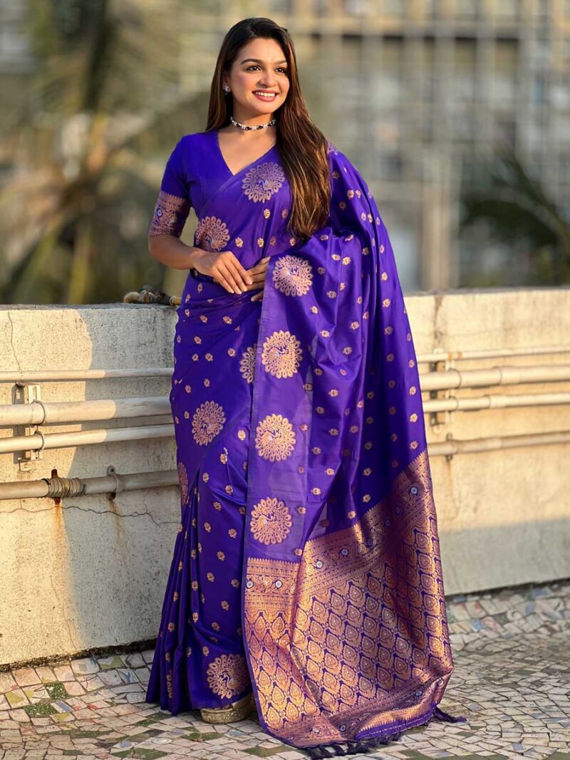 Blue Color Blue Saree - Image 4