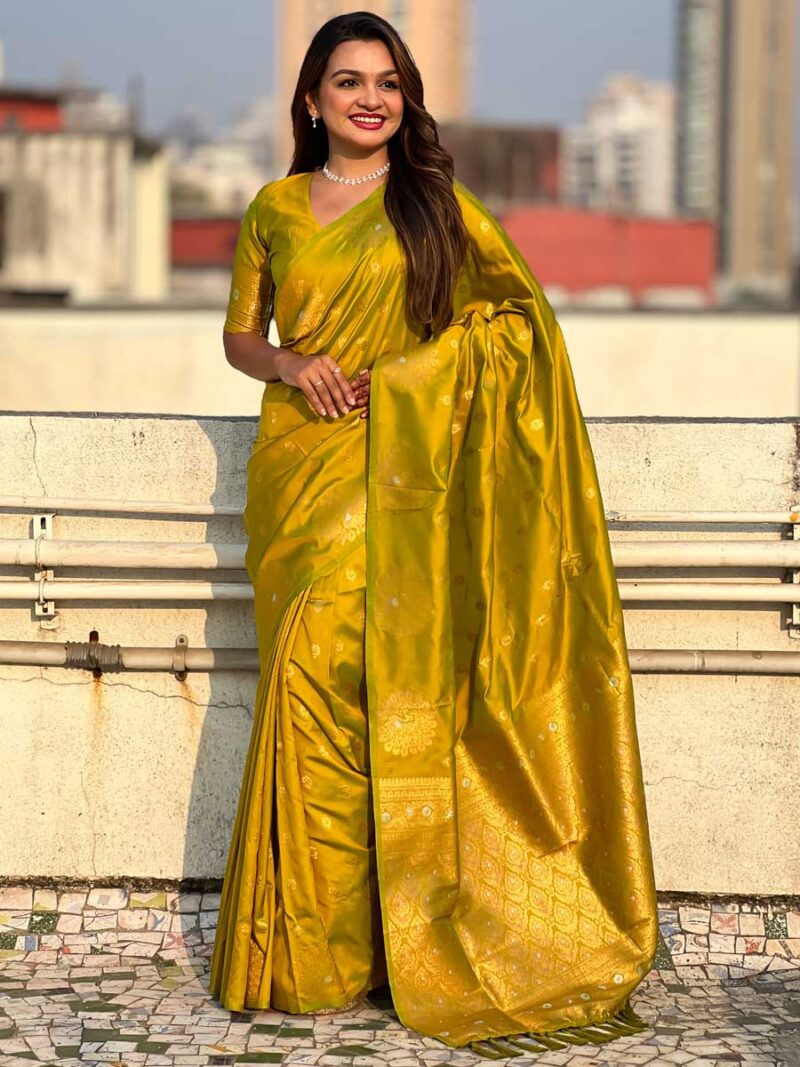 Olive Color Olive Saree - Image 4