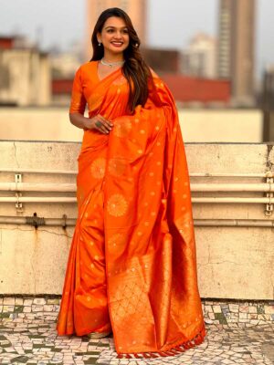 Orange Color Orange Saree
