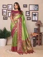 Green Color Burgundy Saree
