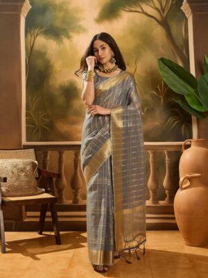 Grey Color Grey Saree