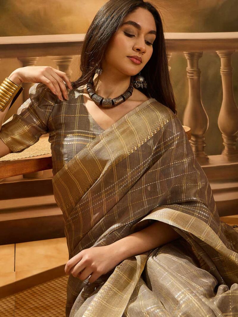 Brown Color Brown Saree - Image 3
