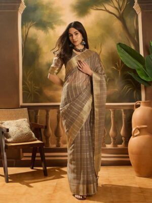 Brown Color Brown Saree