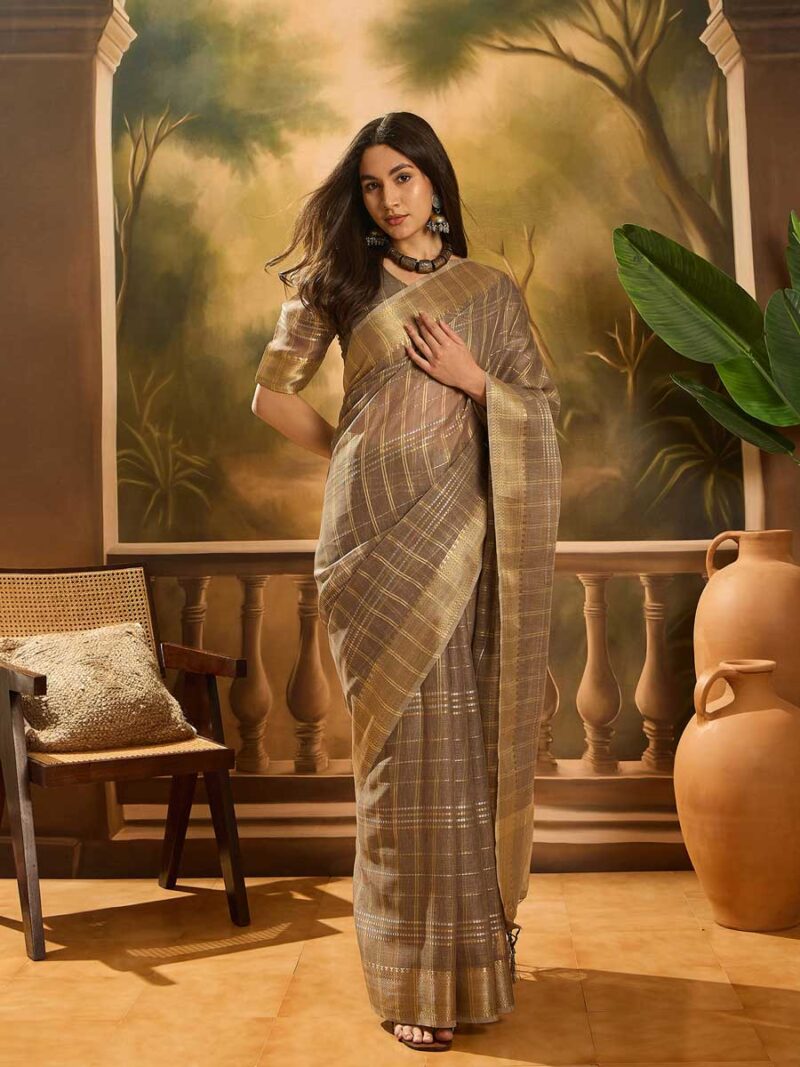 Brown Color Brown Saree
