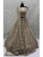 Golden Color Net Lehenga Choli
