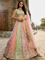 Pista Color Tissue Lehenga Choli