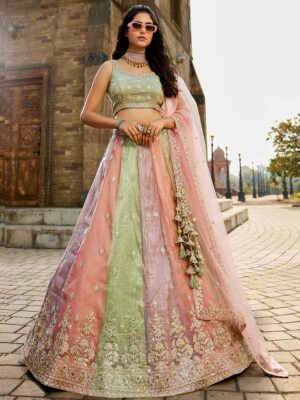 Pista Color Tissue Lehenga Choli