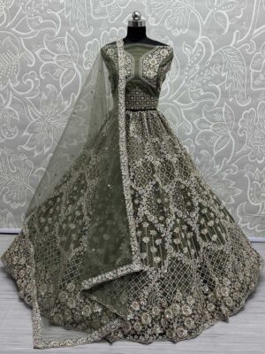 Olive Color Double Net Crafted Lehenga Choli