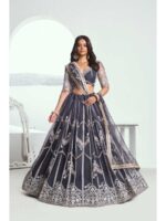 Grey Color Butterfly Net Lehenga Choli