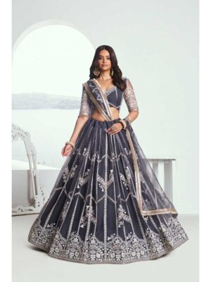 Grey Color Butterfly Net Lehenga Choli