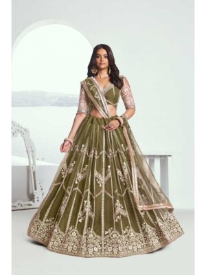 Mahendi Color Butterfly Net Lehenga Choli