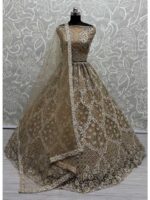 Brown Color Net   Lehenga Choli