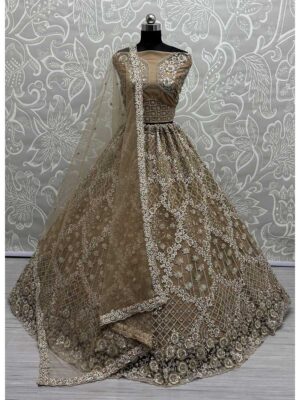 Brown Color Net   Lehenga Choli