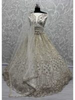 White Color Net   Lehenga Choli