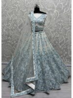 Sky Blue Color  Net Lehenga Choli