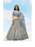 Grey Color Silk Lehenga Choli
