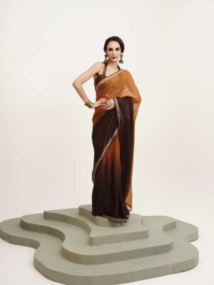 Brown Color Chiffon Saree
