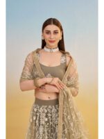 Ivory Color Butterfly Net Lehenga Choli