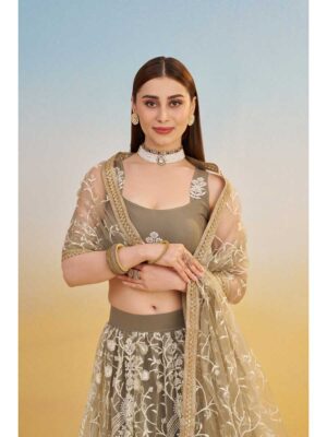 Ivory Color Butterfly Net Lehenga Choli
