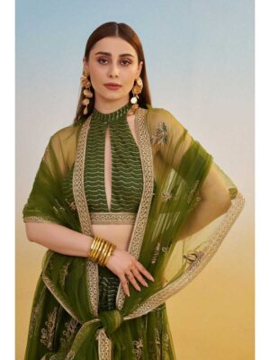 Mahendi Color Butterfly Net Lehenga Choli