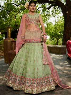 Pista Color Tissue Lehenga Choli