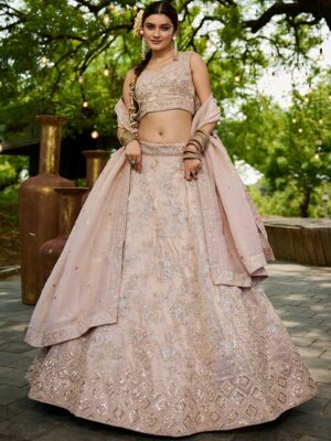 Nude Color Tissue Lehenga Choli