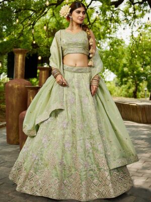Pista Color Tissue Lehenga Choli