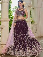 Burgundy Color Organza Lehenga Choli
