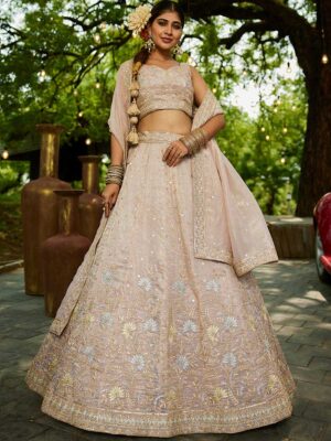 Nude Color Tissue Lehenga Choli