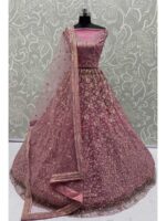 Pink Color Net Lehenga Choli