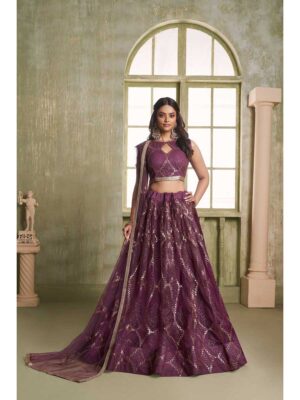 Wine Color Butterfly Net Lehenga Choli