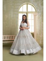Light Grey Color Butterfly Net Lehenga Choli