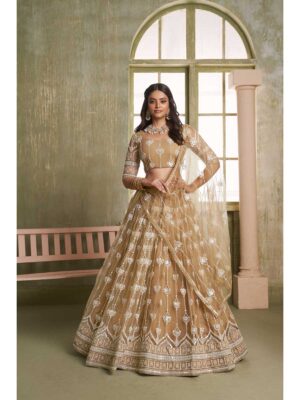 Beige Color Butterfly Net Lehenga Choli