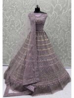 Onion Color Net Lehenga Choli