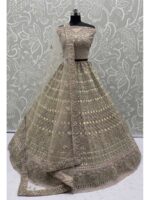 Beige Color Net Lehenga Choli