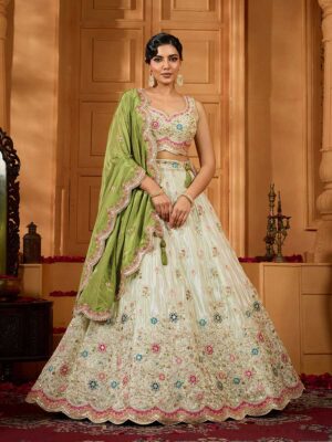 Pista Color Tissue Lehenga Choli