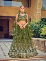 Mahendi Color Net Lehenga Choli