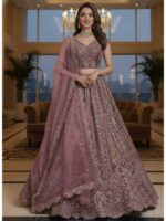 Onion Color Net Lehenga Choli