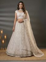 White Color Net Lehenga Choli