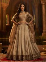 Brown Color Organza Lehenga Choli