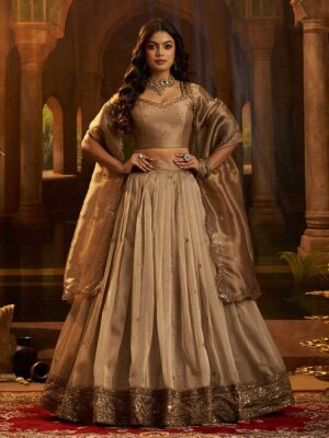 Brown Color Organza Lehenga Choli
