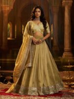 Olive Color Organza Lehenga Choli