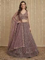 Onion Color Net Lehenga Choli